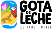 mejores casas de apuestas chile